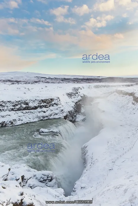 : Gullfoss (Golden Falls) is a waterfall located on the river Hvita - Haukadalur - Iceland : Gullfoss (Golden Falls) is a waterfall located on the river Hvita - Haukadalur - Iceland