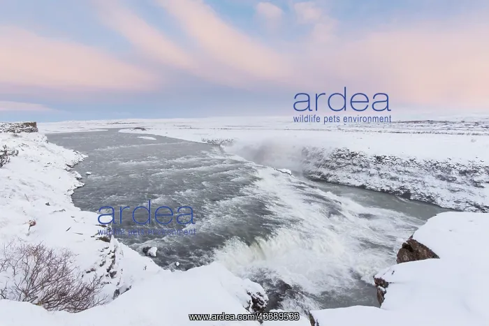 : Gullfoss (Golden Falls) is a waterfall located on the river Hvita - Haukadalur - Iceland : Gullfoss (Golden Falls) is a waterfall located on the river Hvita - Haukadalur - Iceland