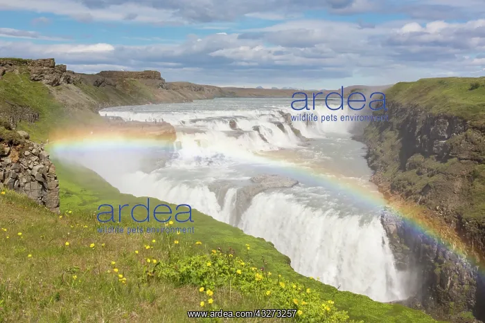 : Gullfoss (Golden Falls) is a waterfall located on : Gullfoss (Golden Falls) is a waterfall located on