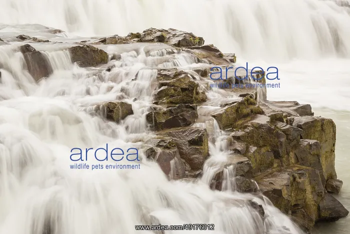 : Gullfoss waterfall : Gullfoss waterfall