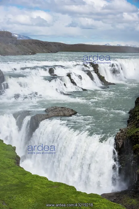 : Gullfoss waterfall, Hvita river, Iceland, Europe : Gullfoss waterfall, Hvita river, Iceland, Europe