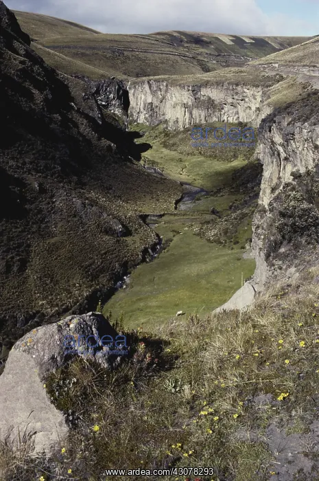 : Gully in Ecuador : Gully in Ecuador