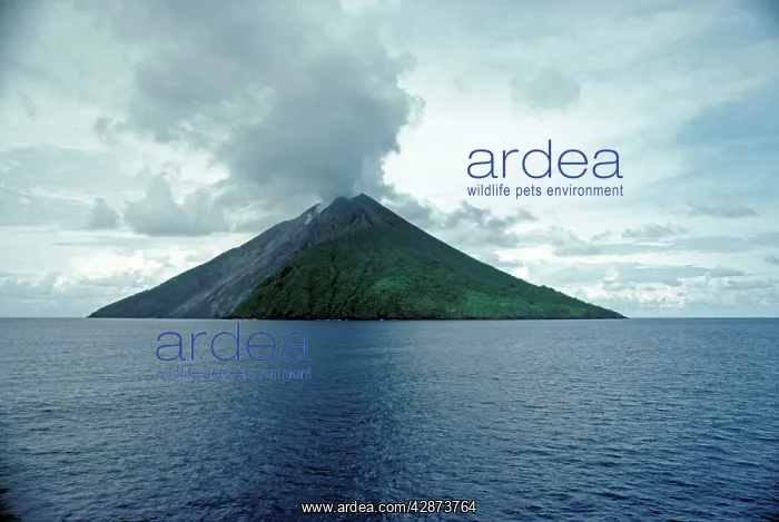 : Gunung Api Volcano, Banda Sea : Gunung Api Volcano, Banda Sea
