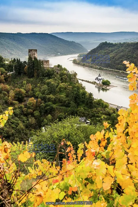  : Gutenfels Castle and Pfalzgrafenstein Castle, Kaub