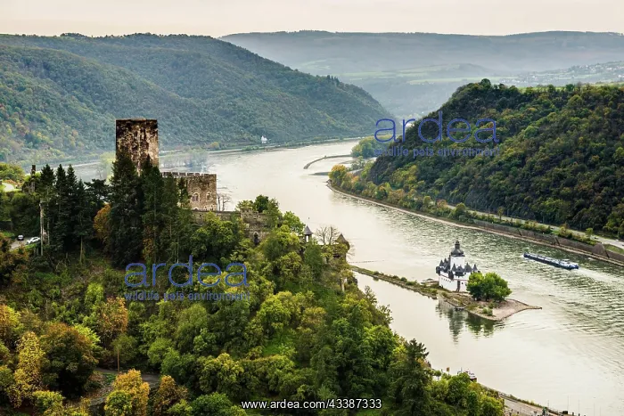 : Gutenfels Castle and Pfalzgrafenstein Castle, Kaub : Gutenfels Castle and Pfalzgrafenstein Castle, Kaub