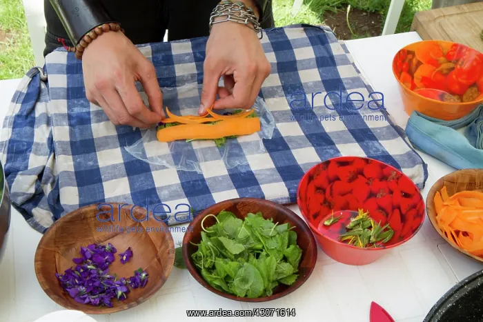 : Guy Laliere, naturopath botanistLinden Leaves : Guy Laliere, naturopath botanistLinden Leaves