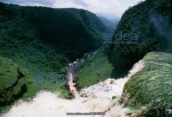  : Guyana - Kaieteur Gorge, view from top of falls