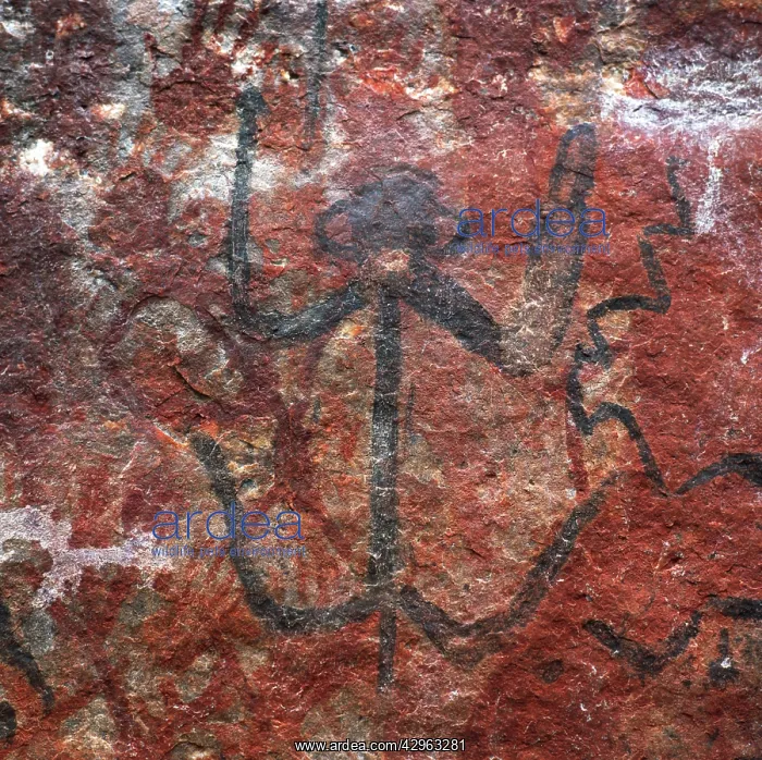 : Guyana, South America: Karowrieng rock paintings : Guyana, South America: Karowrieng rock paintings