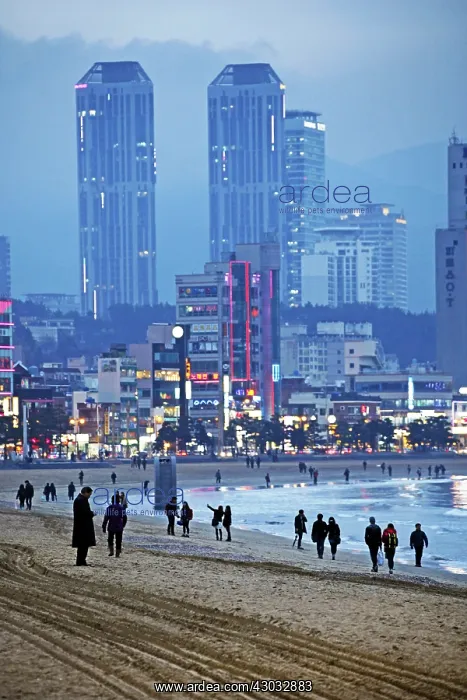 : Gwangalli Beach at dusk in Busan, South Korea : Gwangalli Beach at dusk in Busan, South Korea