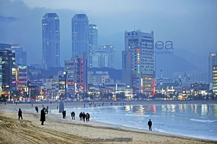 : Gwangalli Beach at dusk in Busan, South Korea : Gwangalli Beach at dusk in Busan, South Korea