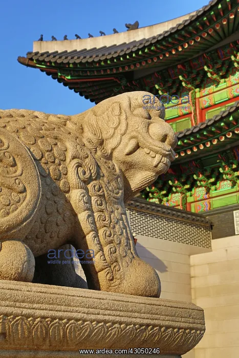 : Gwanghwamun Gate at Gyeongbokgung Palace in Seoul, Korea : Gwanghwamun Gate at Gyeongbokgung Palace in Seoul, Korea