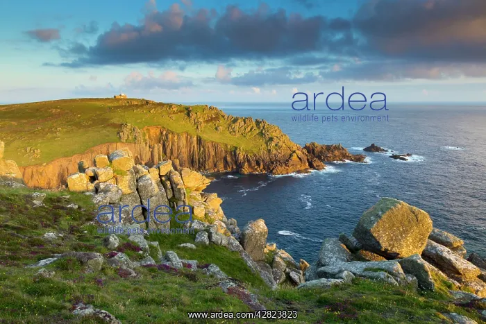 : Gwennap Head - Land's End : Gwennap Head - Land's End