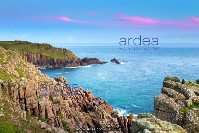 : Gwennap Head - Land's End - sunset : Gwennap Head - Land's End - sunset