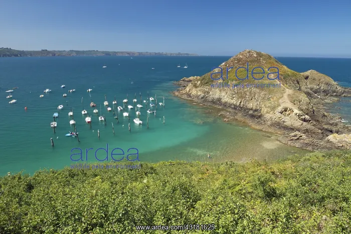 : Gwin Z&, x99e1;l harbour with wood piles, Plouha : Gwin Z&, x99e1;l harbour with wood piles, Plouha