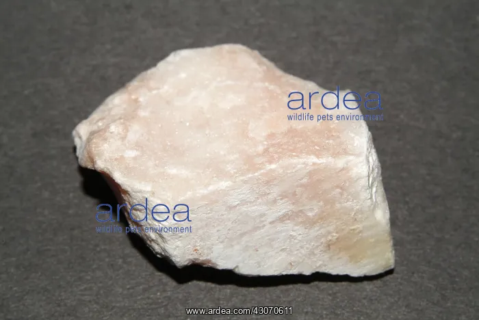 : Gypsum. Hand sample of Gypsum, a soft mineral rated 2 on the Mohs scale : Gypsum. Hand sample of Gypsum, a soft mineral rated 2 on the Mohs scale