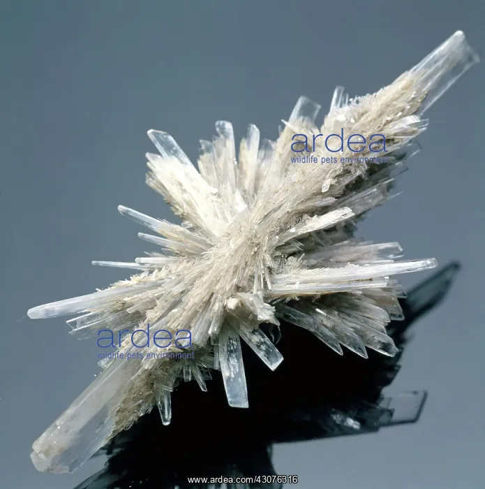 : Gypsum crystals : Gypsum crystals