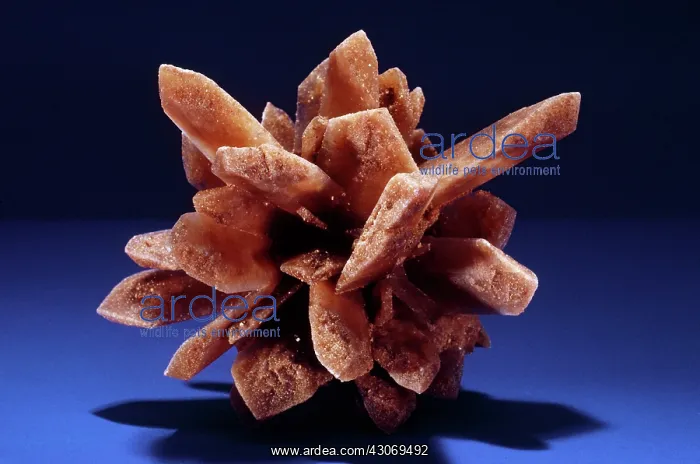 : Gypsum from Cherokee Flats, Oklahoma : Gypsum from Cherokee Flats, Oklahoma
