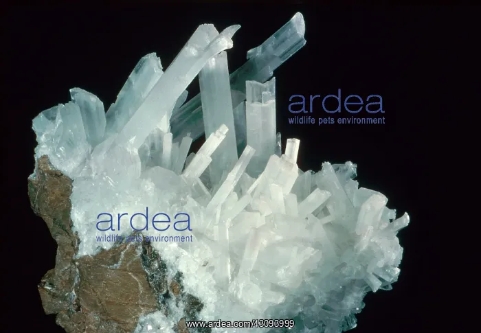 : Gypsum Crystals : Gypsum Crystals