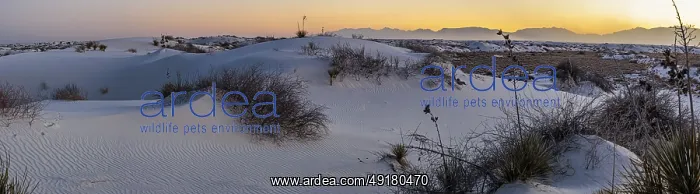 : Gypsum dunefields at White Sands National Monument located within the Chihuahuan Desert : Gypsum dunefields at White Sands National Monument located within the Chihuahuan Desert