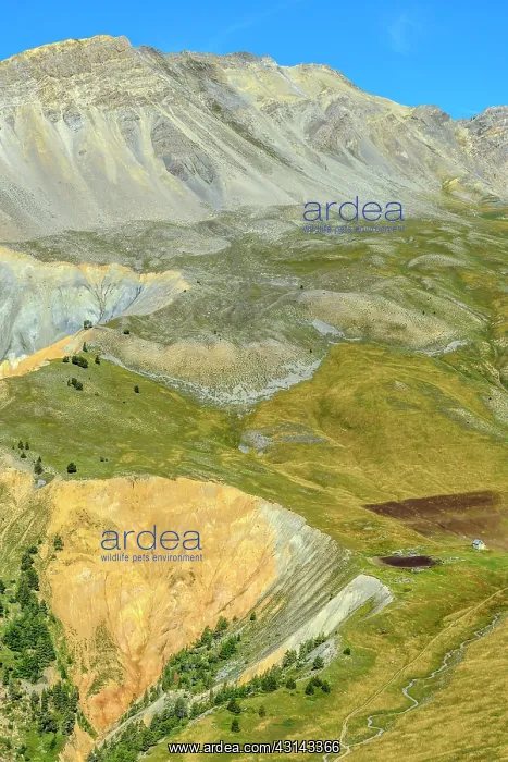  : Gypsum polychrome (rocks deposited in the Triassic)