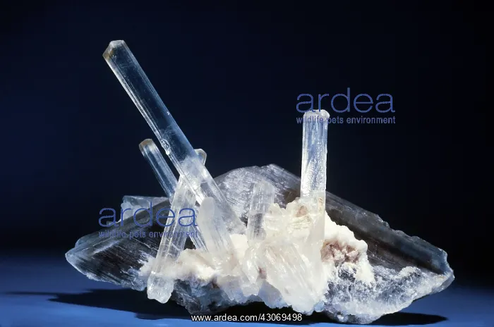 : Gypsum (selenite) from Naica, Mexico : Gypsum (selenite) from Naica, Mexico