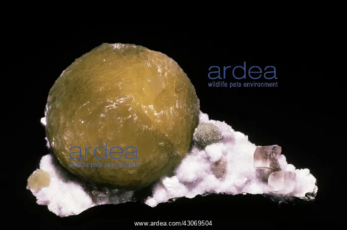 : Gyrolite from the Bombay District, India : Gyrolite from the Bombay District, India