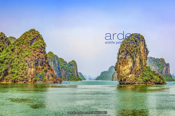 : Ha Long Bay, Vietnam. Landscape view of limestone karsts and : Ha Long Bay, Vietnam. Landscape view of limestone karsts and