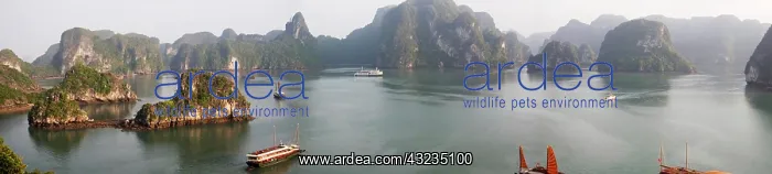 : Ha Long Bay, Vietnam. UNESCO declared World : Ha Long Bay, Vietnam. UNESCO declared World