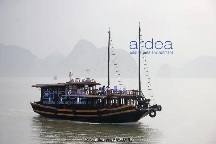 : Ha Long Bay, Vietnam. UNESCO declared World : Ha Long Bay, Vietnam. UNESCO declared World