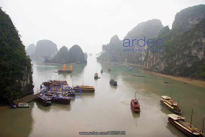 : Ha Long Bay, Vietnam. UNESCO declared World : Ha Long Bay, Vietnam. UNESCO declared World