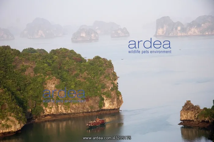 : Ha Long Bay, Vietnam. UNESCO declared World : Ha Long Bay, Vietnam. UNESCO declared World