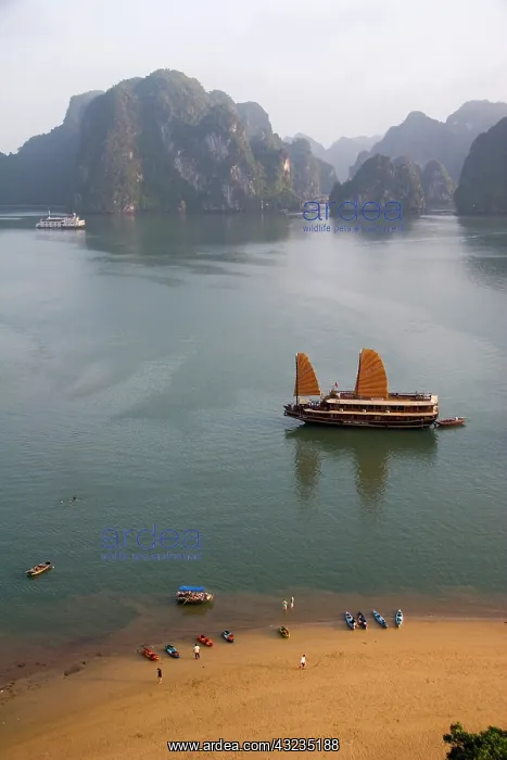 : Ha Long Bay, Vietnam. UNESCO declared World : Ha Long Bay, Vietnam. UNESCO declared World