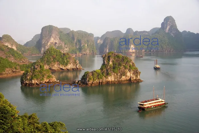  : Ha Long Bay, Vietnam. UNESCO declared World