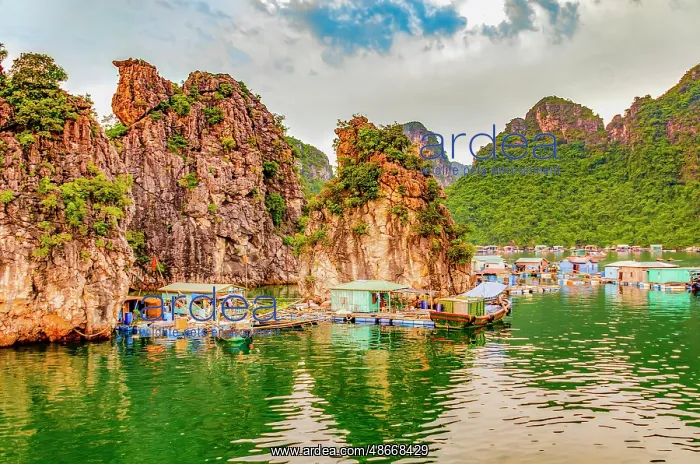 : Ha Long Bay, Vietnam. Wide angle landscape view of floating : Ha Long Bay, Vietnam. Wide angle landscape view of floating