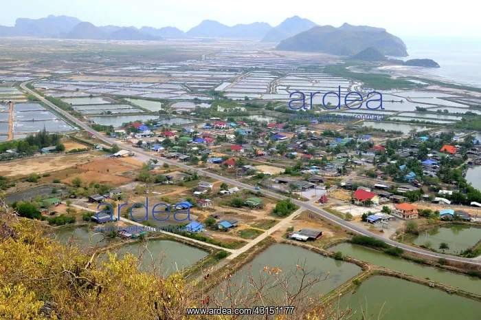 : Habitat Destruction : Habitat Destruction