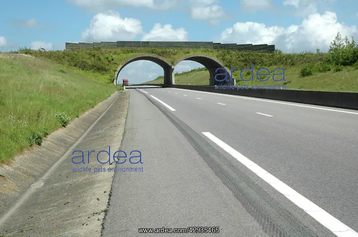  : Habitat Green Bridge on French autoroute (south
