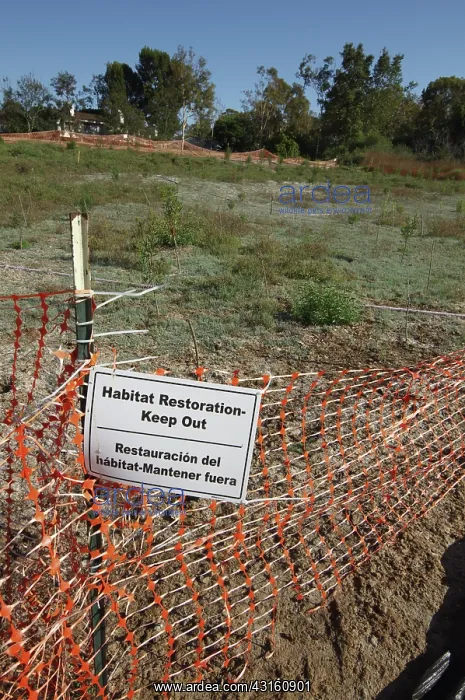 : Habitat Restoration : Habitat Restoration