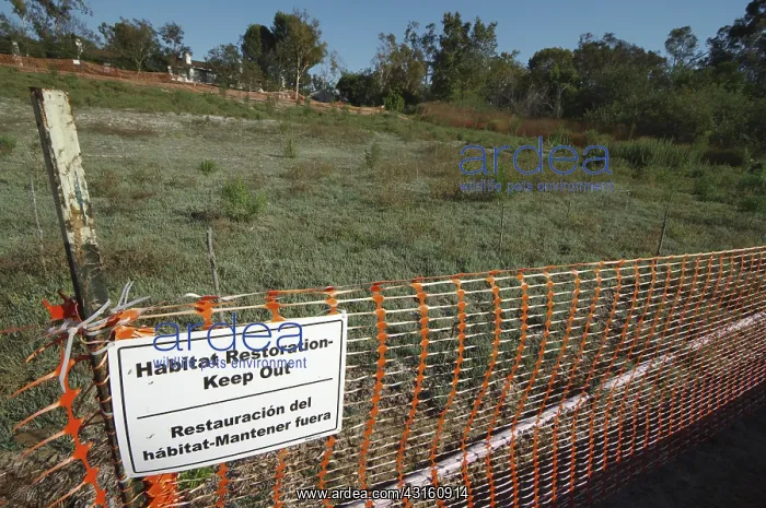 : Habitat Restoration : Habitat Restoration