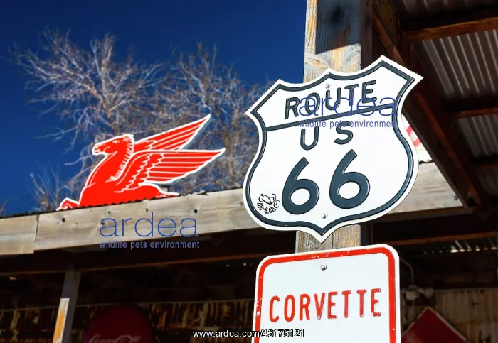 : Hackberry General Store, Hackberry, U.S. Route 66 : Hackberry General Store, Hackberry, U.S. Route 66