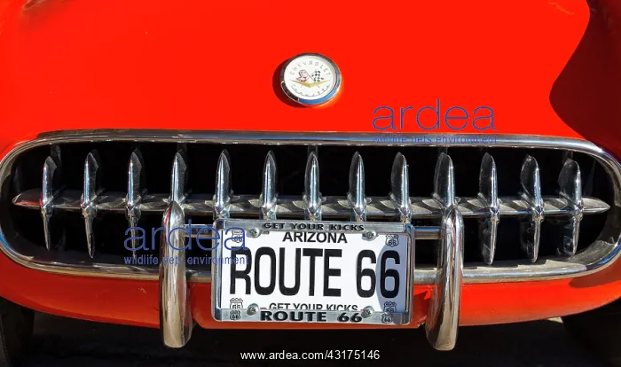 : Hackberry General Store, Hackberry, U.S. Route 66 : Hackberry General Store, Hackberry, U.S. Route 66