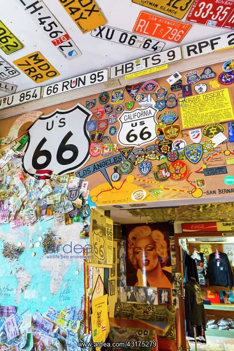 : Hackberry General Store, Hackberry, U.S. Route 66 : Hackberry General Store, Hackberry, U.S. Route 66