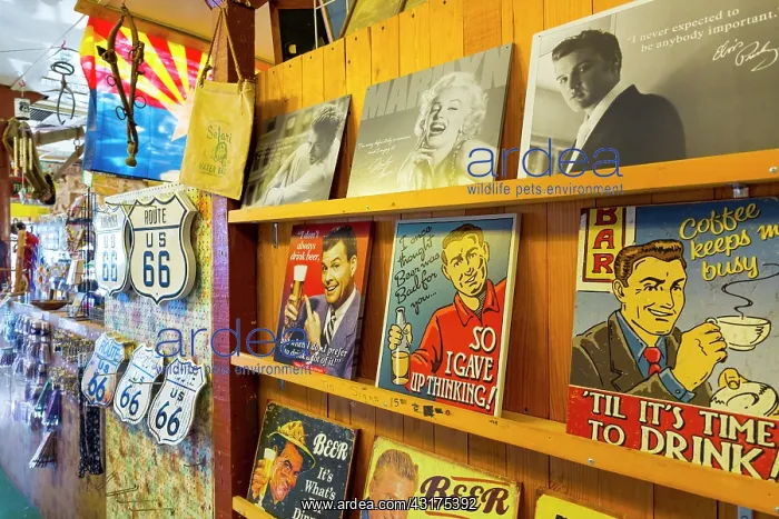 : Hackberry General Store, Hackberry, U.S. Route 66 : Hackberry General Store, Hackberry, U.S. Route 66