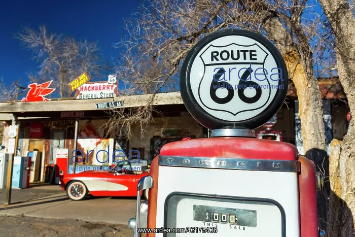 : Hackberry General Store, Hackberry, U.S. Route 66 : Hackberry General Store, Hackberry, U.S. Route 66