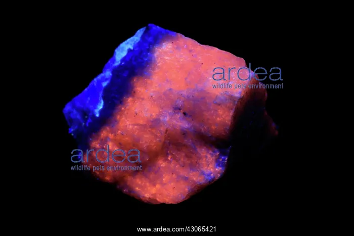 : Hackmanite in UV light : Hackmanite in UV light