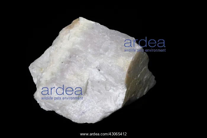 : Hackmanite in white light : Hackmanite in white light