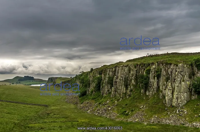 : Hadrian's Wall : Hadrian's Wall