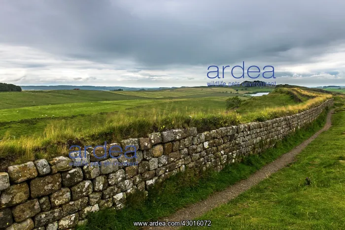 : Hadrian's Wall : Hadrian's Wall