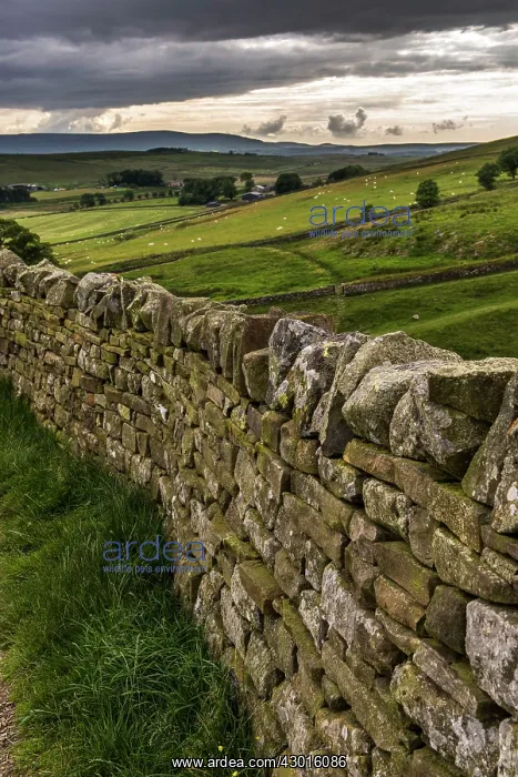 : Hadrian's Wall : Hadrian's Wall