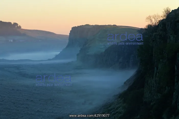 : Hadrian's Wall - beside Crag Lough, early morning mist : Hadrian's Wall - beside Crag Lough, early morning mist