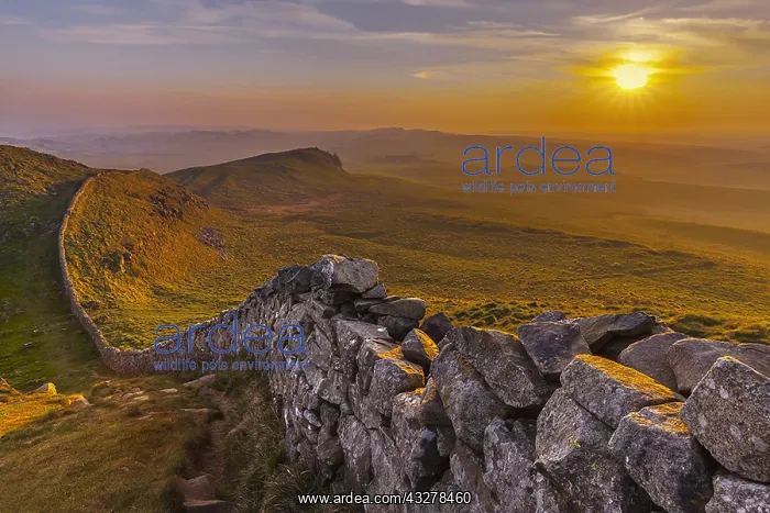  : Hadrians Wall - iconic historic stone wall Hadrians